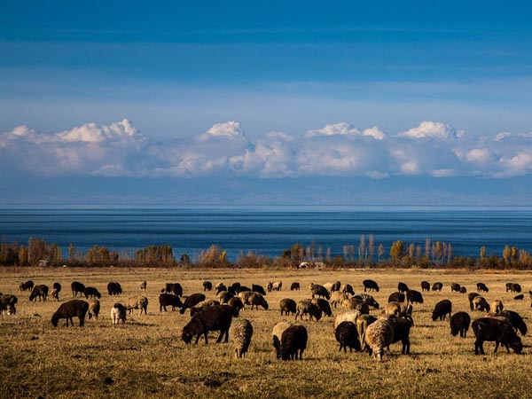  Issyk Kul Lake